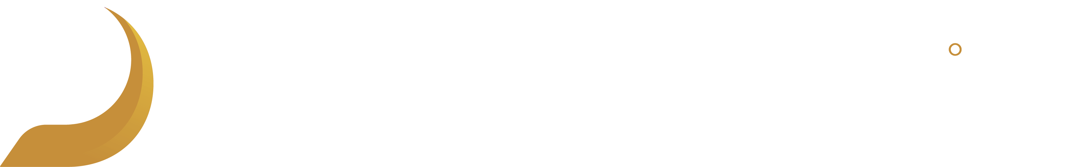 logo-white